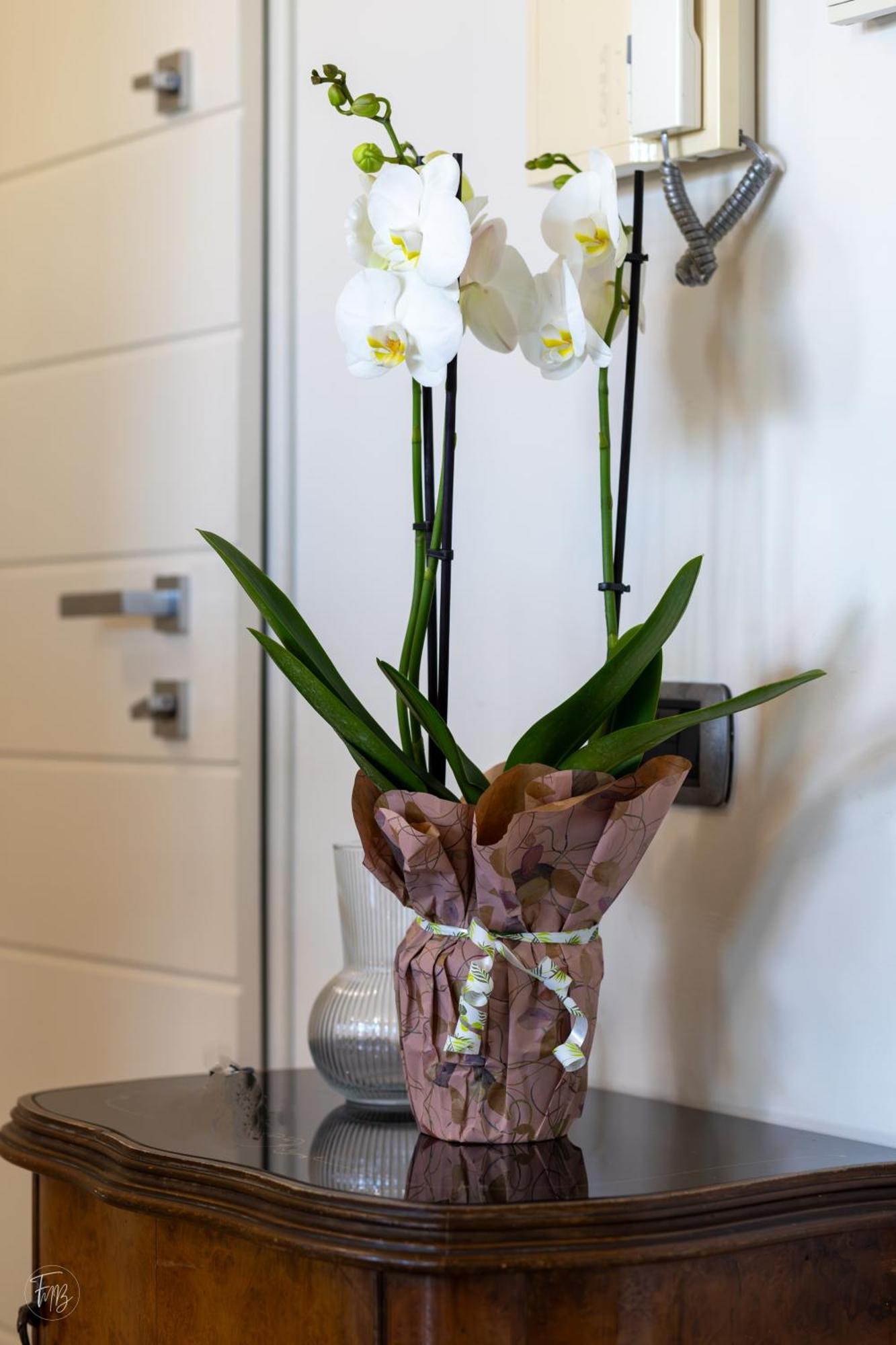 Santa Gilla Apartment กาญารี ภายนอก รูปภาพ